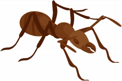 Ant PNG Clip Art - Best WEB Clipart