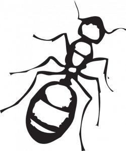 Ants clipart outline pencil and in color ants - Clipartix