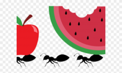 Ant Clipart Picnic Item - Png Download (#3012931) - PinClipart
