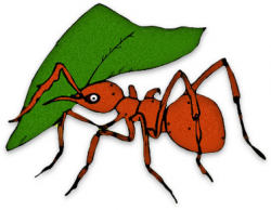 Leaf Cutting Ants Clipart