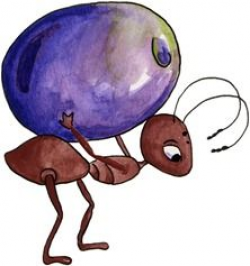 imagem decoupage clipart Ant n Watermelon[4].jpg] | Bugs | Pinterest ...