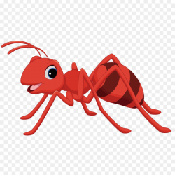 Ant Cartoon Clip art - Red Ants png download - 1276*1276 - Free ...