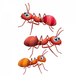 Red Ant's - Clipart-Online