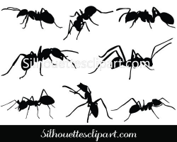 Ant Silhouette Vector Graphics | Ant, Silhouettes and Vector graphics