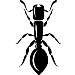 Ant clipart free clip art images - Clipartix