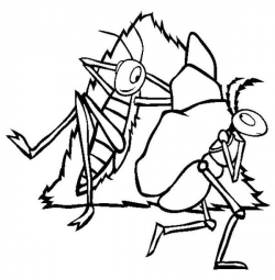 Ant Line Drawing at GetDrawings.com | Free for personal use Ant Line ...
