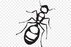 Ant Black and white Clip art - Ant Cliparts png download - 498*599 ...