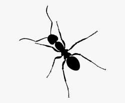 Free Ant - Ant Clipart #1161314 - Free Cliparts on ClipartWiki