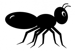 Black ant clip art, cute style lge 11cm long | Black ants
