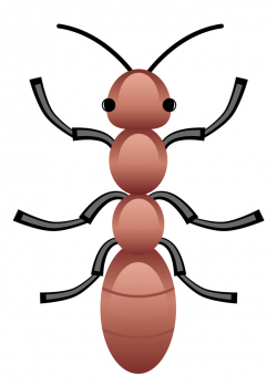 Ant clipart - PinArt | Ant clipart black and white, fantastic ...