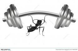 Free Ant Clipart strong, Download Free Clip Art on Owips.com