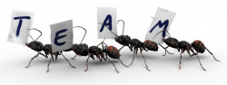 Ant photos, royalty-free images, graphics, vectors & videos | Adobe ...