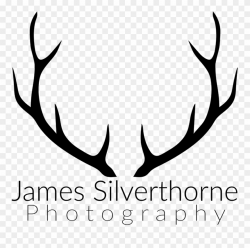 Deer Antlers Clipart Black And White - Png Download ...
