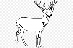 White-tailed deer Moose Black and white Clip art - Wild Game ...