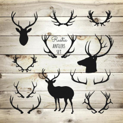 Deer Antlers Clipart Clip Arts Related To Whitetail Deer Antlers ...