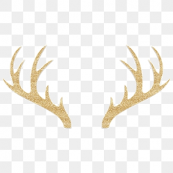 Antlers Png, Vector, PSD, and Clipart With Transparent ...
