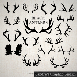 Black antlers clipart, with 16 hand drawn antlers, 300 dpi PNG files ...