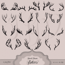 Deer Antler Drawing at GetDrawings.com | Free for personal use Deer ...
