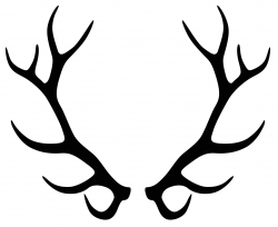 28+ Collection of Elk Antlers Clipart | High quality, free cliparts ...