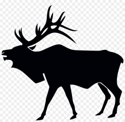Elk Deer Moose Clip art - Antler Rub Cliparts png download - 1237 ...