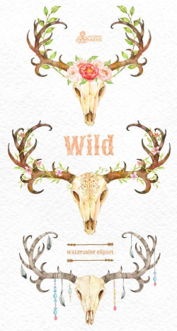 Wild. 3 Watercolor skulls with antlers, hand painted clipart ...
