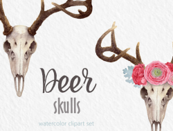 Watercolor clipart Deer clipart skull flower crown digital