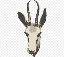 Springbok Gazelle Impala Antelope Clip art - Springbok Cliparts png ...