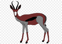 Springbok Antelope Gazelle Impala Clip art - antelope png download ...