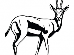 Antler Clipart - Free Clipart on Dumielauxepices.net