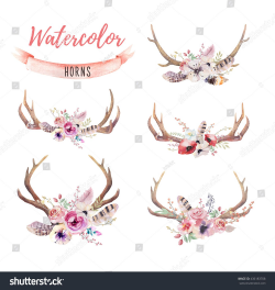 Watercolor bohemian deer horns. Western mammals. Watercolour hipster ...