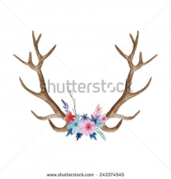 Watercolor floral antler. Hand drawn vintage deer horns with flowers ...