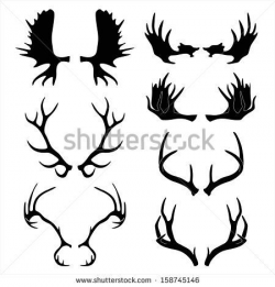 Moose antlers - Google Search | Crafty | Pinterest | Moose antlers ...