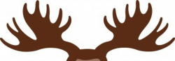 Moose Deer Antler Elk Clip art - Antler Cliparts png download - 1200 ...