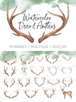 Freebies : Deer & Antlers #Clipart, This is a collection of 20 high ...