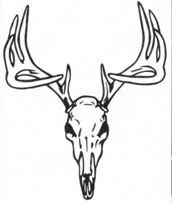35 best deer heads images on Pinterest | Deer, Elk and Hunting