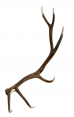 Elk Faux Antler | Cast Horn Designs