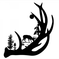 2018 Deer Antler With Buck Forest Back Ground Vinyl Decal Sticker ...