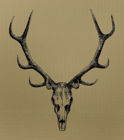 Skull Clip Art, with antlers, Royalty Free, No Credit Required ...