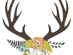 Free Stag Clipart deer skull, Download Free Clip Art on ...