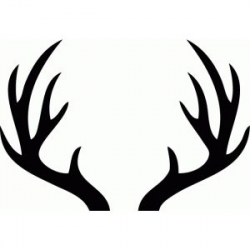 16 best Antlers images on Pinterest | Deer horns, Deer antlers and ...