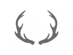 deer antler clip art | Use these free images for your websites, art ...