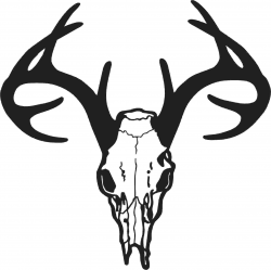 This is best Deer Skull Clip Art #14201 Deer Skull Drawing Free ...