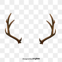 Brown Antlers Png, Vector, PSD, and Clipart With Transparent ...
