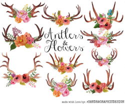Antlers clip art, watercolor clip art, watercolor antlers, floral ...