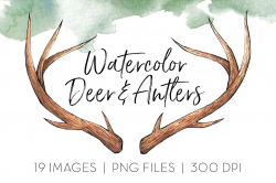 Deer & Antlers Clipart ~ Icons ~ Creative Market