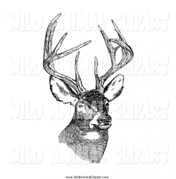 Clip Art of a Black and White White-tailed Deer with Antlers by JVPD ...