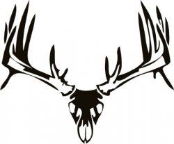 tribal whitetail deer | Deer Skull Wall Decal 2 | TATTOO BOARD ...