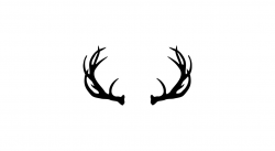 Deer Antler Clipart