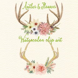 Antlers And Flowers - Watercolor Floral Antlers, Clip Art Flowers ...