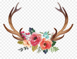 Deer Antler Moose Flower Clip art - Horn Flowers png download - 8993 ...